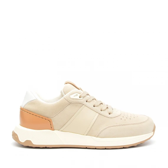 Sneakers Tod's in nabuk beige
